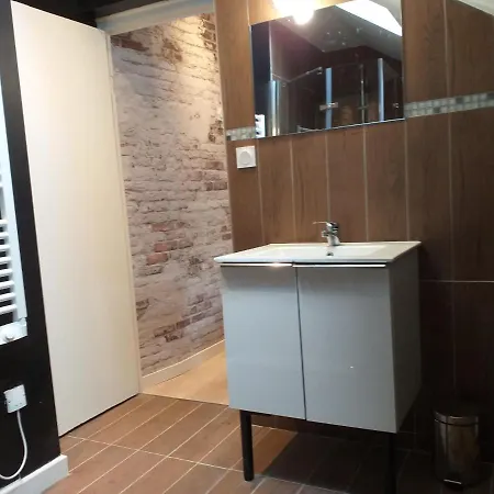 Les Volets Bleus - Deux Appartements Et Un Studio, Jardin Bourges Buitenkant foto