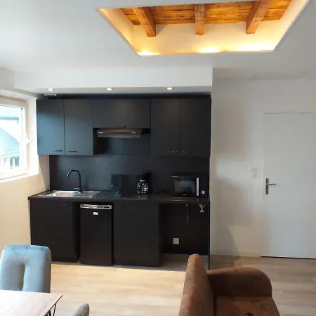 Les Volets Bleus - Deux Appartements Et Un Studio, Jardin Bourges Buitenkant foto