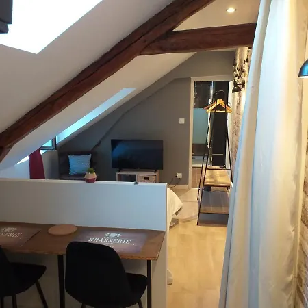 Les Volets Bleus - Deux Appartements Et Un Studio, Jardin Bourges Buitenkant foto