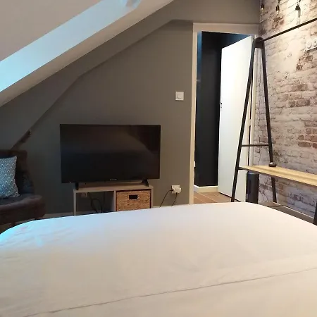 Les Volets Bleus - Deux Appartements Et Un Studio, Jardin Bourges Exterior photo
