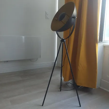 Les Volets Bleus - Deux Appartements Et Un Studio, Jardin Bourges Kamer foto