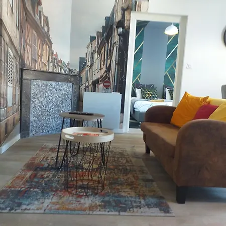 Les Volets Bleus - Deux Appartements Et Un Studio, Jardin Bourges Kamer foto