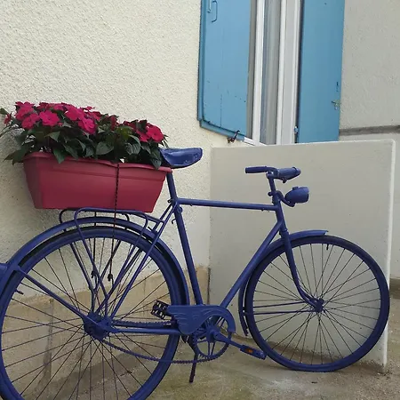 Les Volets Bleus - Deux Appartements Et Un Studio, Jardin Bourges Kamer foto