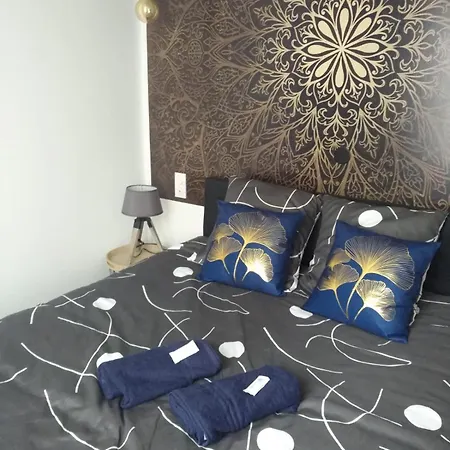Les Volets Bleus - Deux Appartements Et Un Studio, Jardin Bourges Buitenkant foto