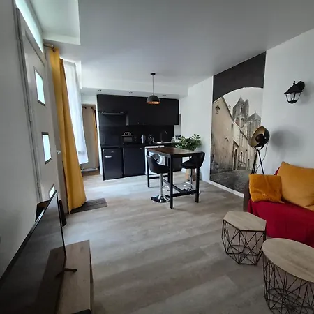 Les Volets Bleus - Deux Appartements Et Un Studio, Jardin Bourges Buitenkant foto