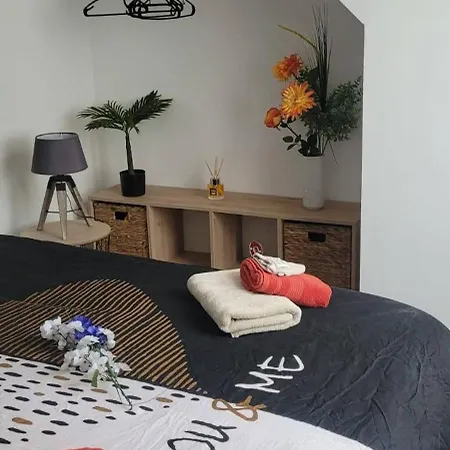 Les Volets Bleus - Deux Appartements Et Un Studio, Jardin Bourges Room photo