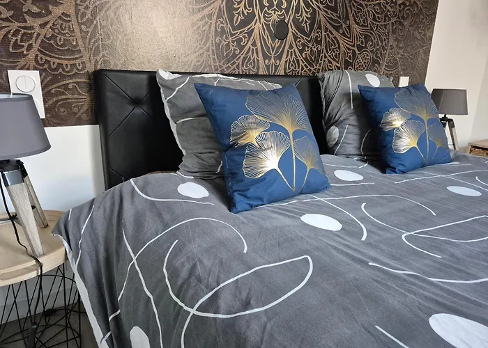 Les Volets Bleus - Deux Appartements Et Un Studio, Jardin