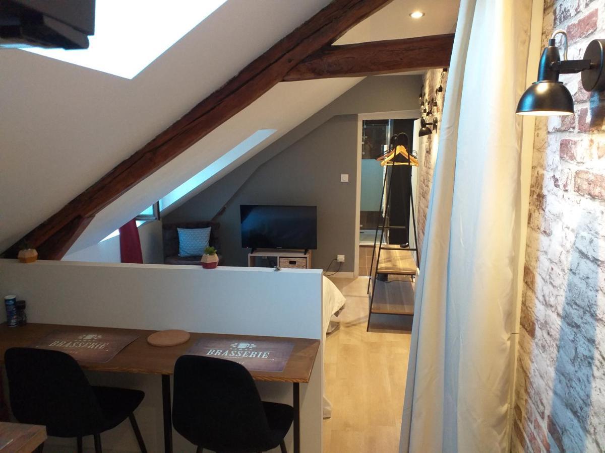 Les Volets Bleus - Deux Et Un Studio, Jardin Apartment