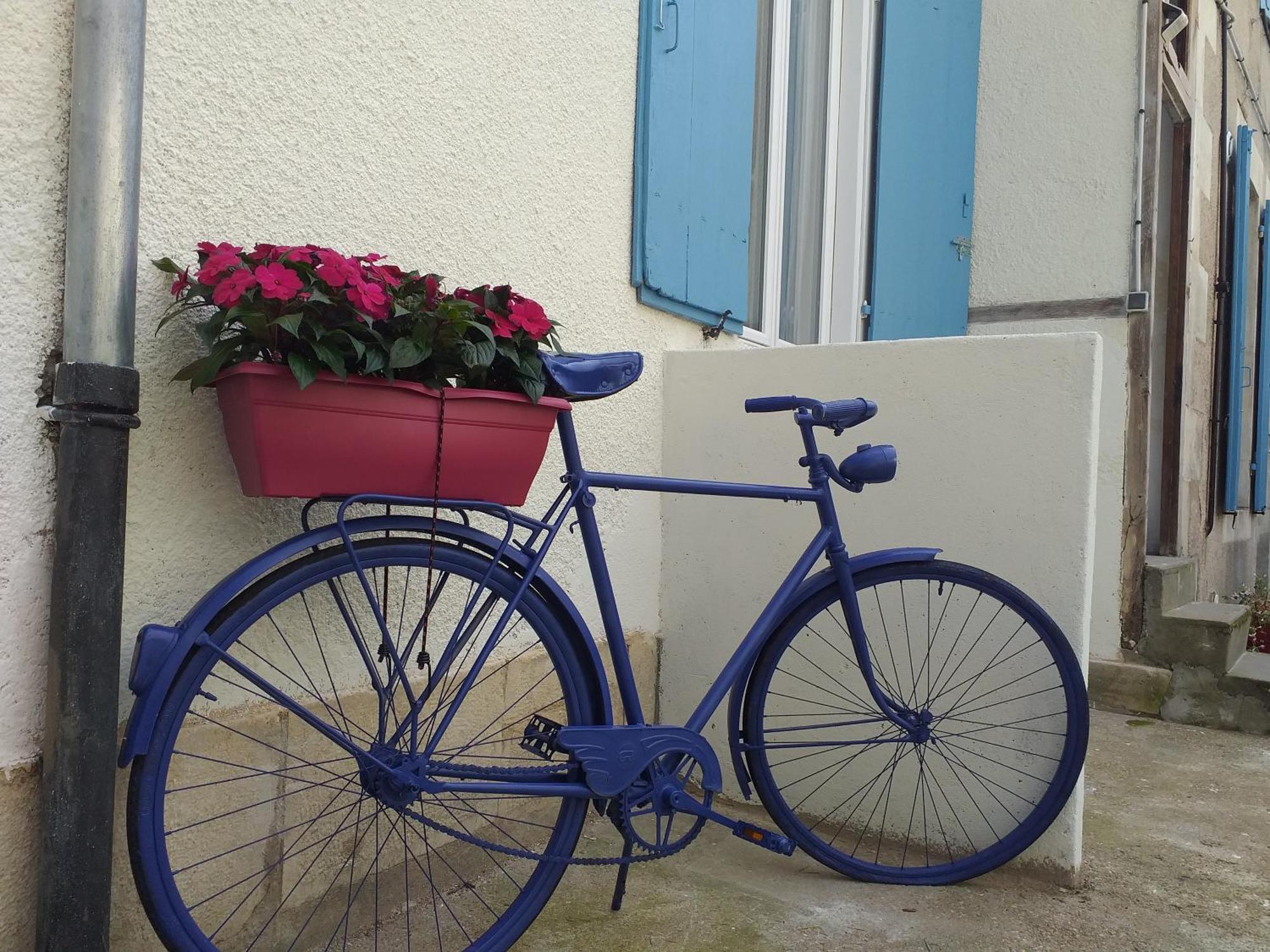 Apartment Les Volets Bleus - Deux Et Un Studio, Jardin *